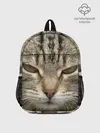 Рюкзак детский / Кот