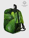 Рюкзак детский / Огурцы