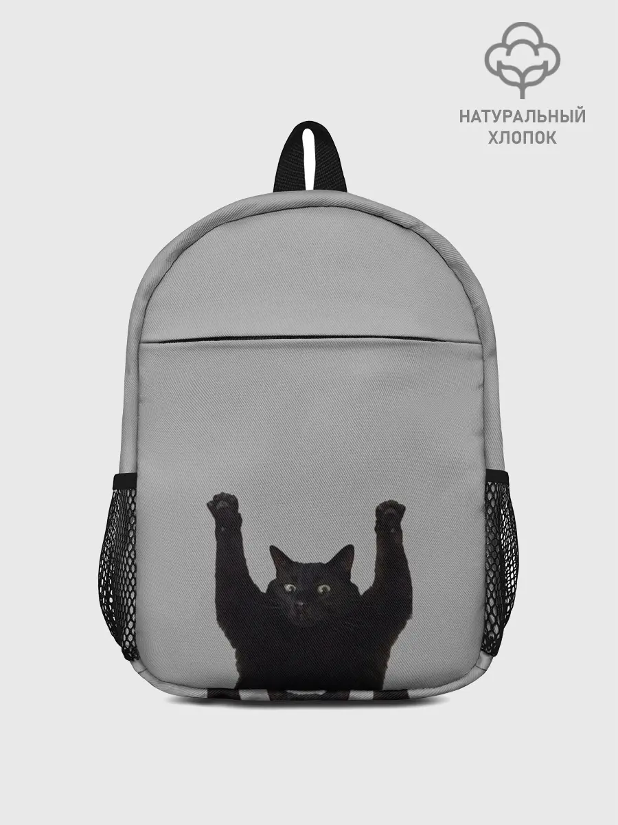 Рюкзак детский / Кот сдается
