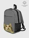 Рюкзак детский / Коте смотрит вверх