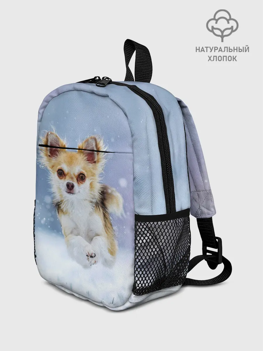 Рюкзак детский / Чихуахуа в снегу