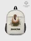 Рюкзак детский / Парк Юрского периода