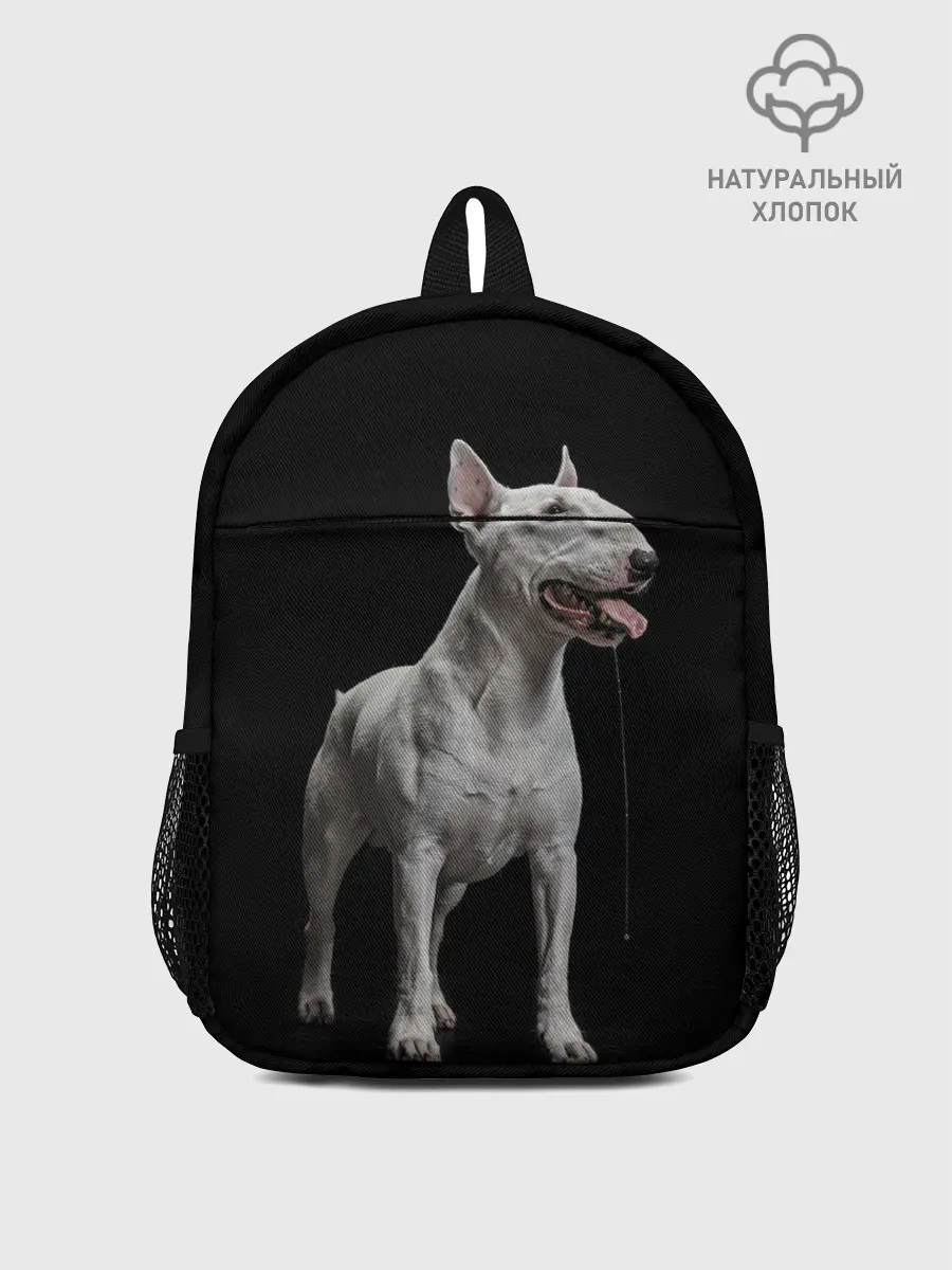 Рюкзак детский / Bully