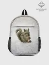 Рюкзак детский / Белки