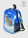 Рюкзак детский / Кот в облаках