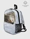 Рюкзак детский / Спящий Волк