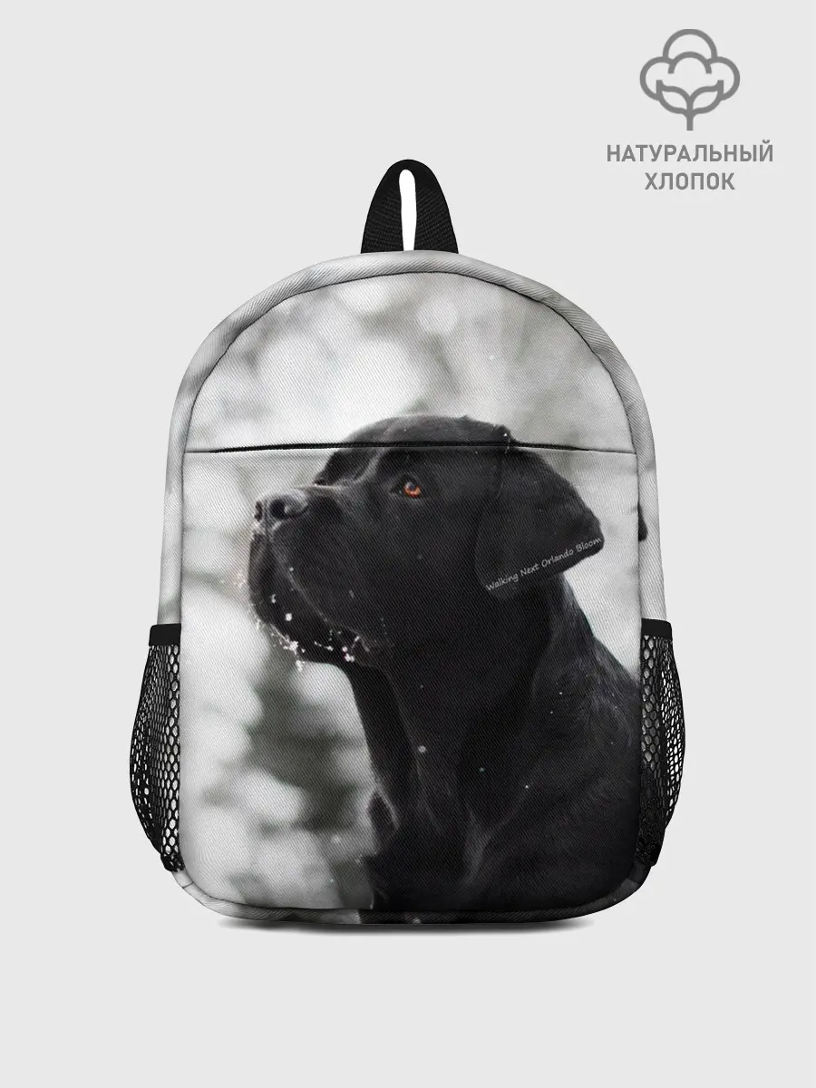 Рюкзак детский / Лабрадор Марк