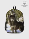 Рюкзак детский / Волк и снег