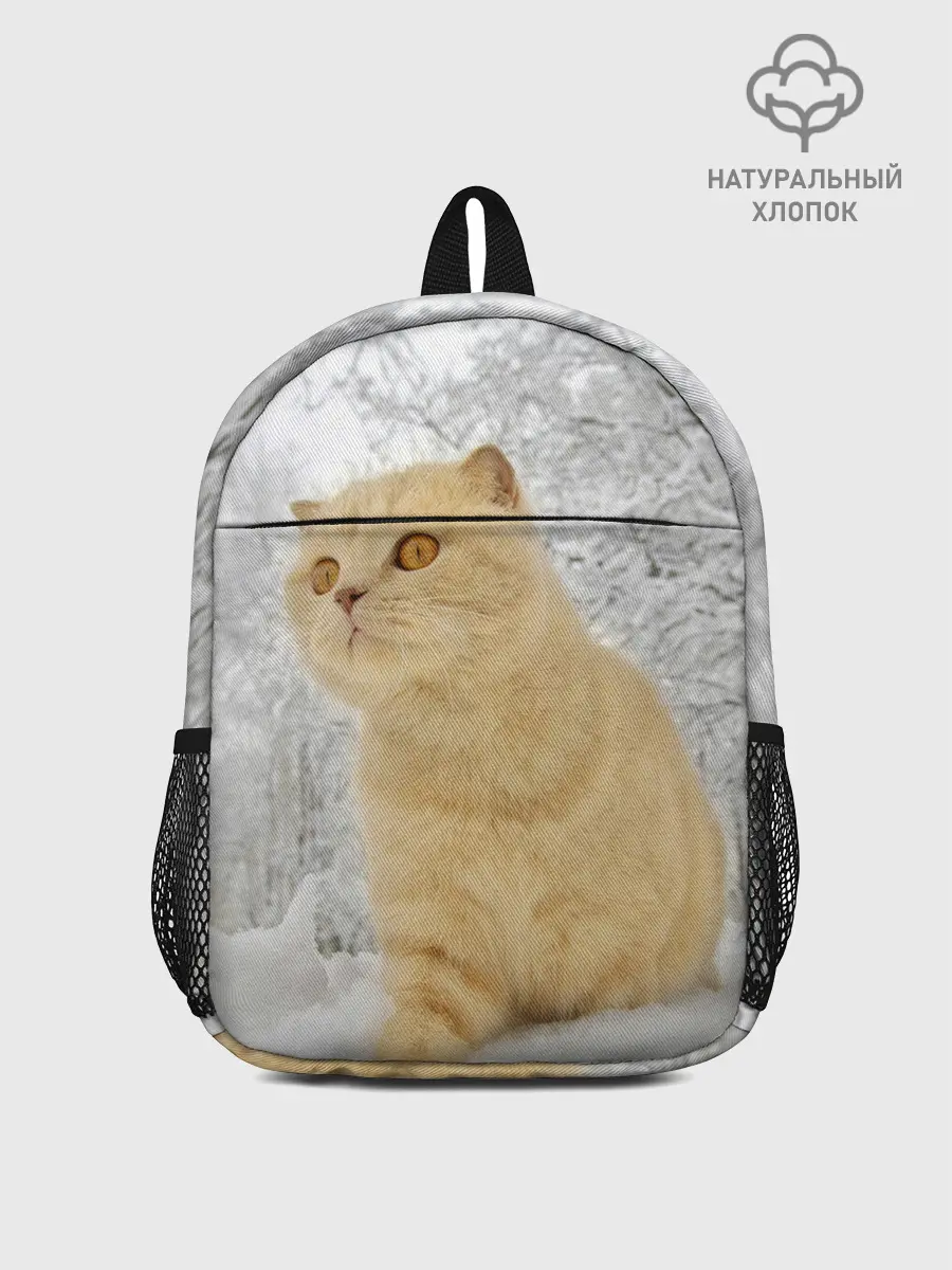Рюкзак детский / Кот и снег