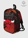Рюкзак детский / Chicago Bulls