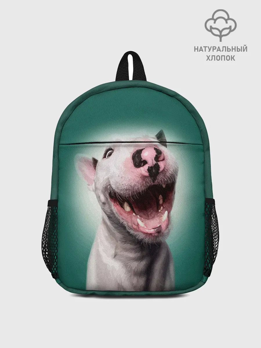 Рюкзак детский / Bully