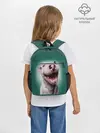 Рюкзак детский / Bully