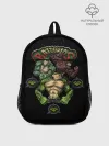 Рюкзак детский / Battletoads