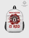 Рюкзак детский / Манчестер Юнайтед