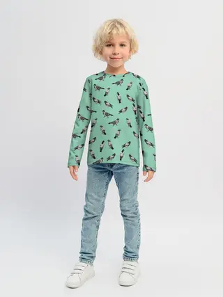 Детский лонгслив / Голуби на зеленом