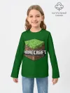 Детский лонгслив / Minecraft