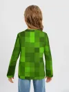 Детский лонгслив / Minecraft
