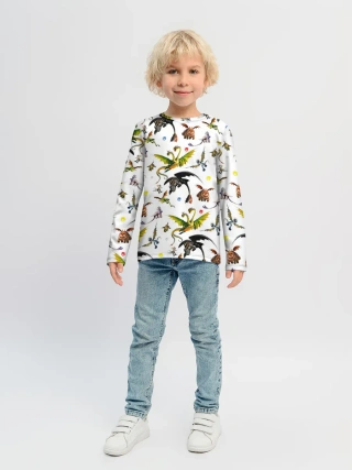 Детский лонгслив / Как приручить дракона