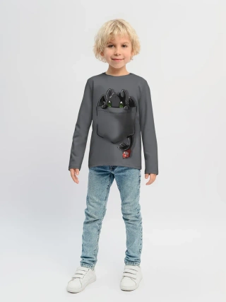 Детский лонгслив / Как приручить дракона