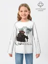 Детский лонгслив / Crowfall | Duelist