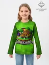 Детский лонгслив / Minecraft