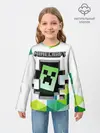 Детский лонгслив / Minecraft