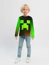 Детский лонгслив / MINECRAFT / МАЙНКРАФТ