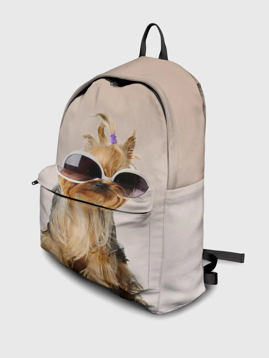 Рюкзак джинсовый / собака в очках