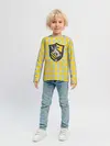 Детский лонгслив / Coat of Hufflepuff