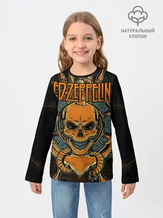 Детский лонгслив / Led Zeppelin