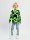 Детский лонгслив / MINECRAFT