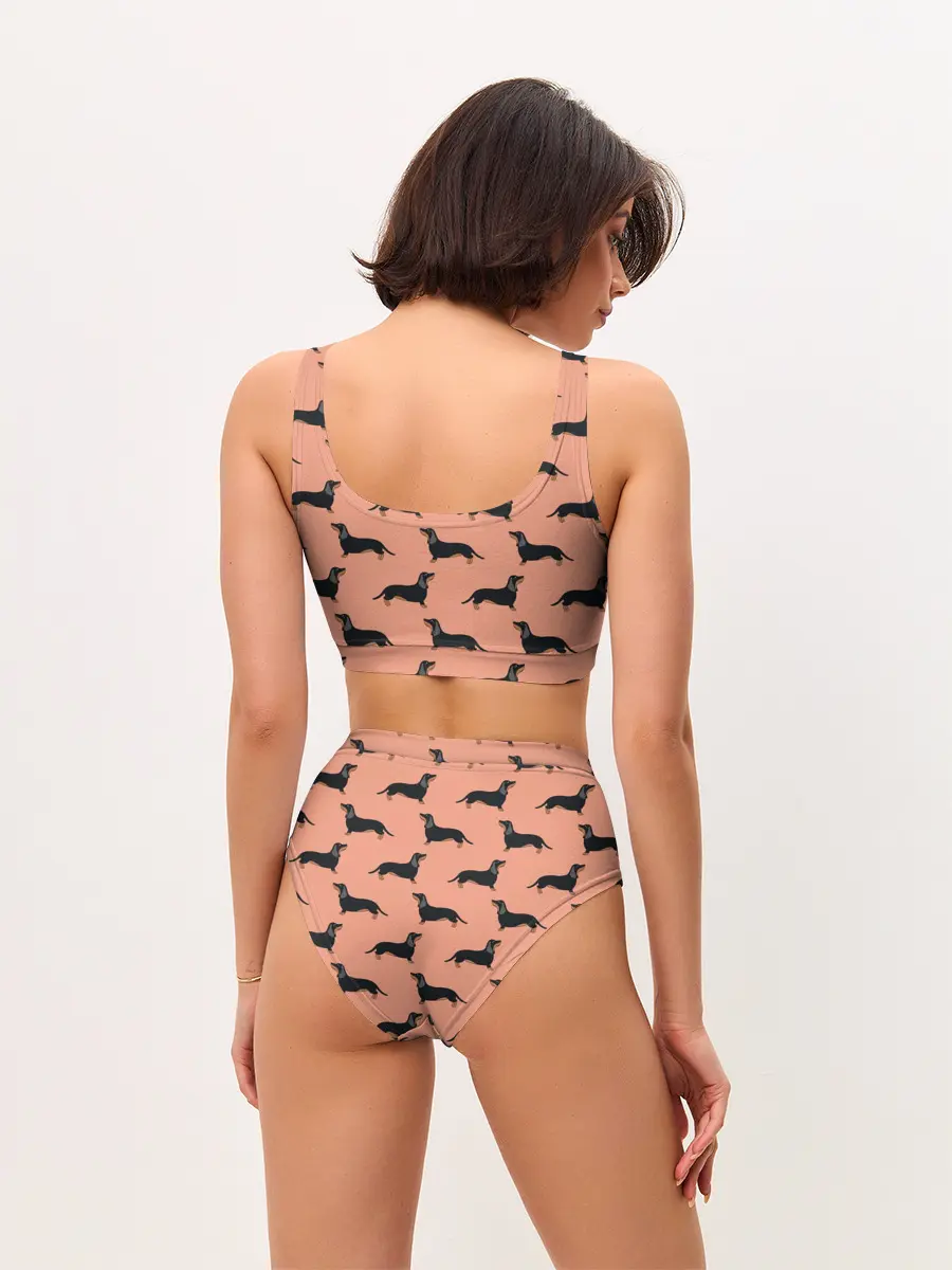 Женские топ и трусы / Таксы паттерн