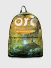 Рюкзак джинсовый / Ori and the Will of the Wisps