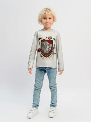 Детский лонгслив / Гарри Поттер