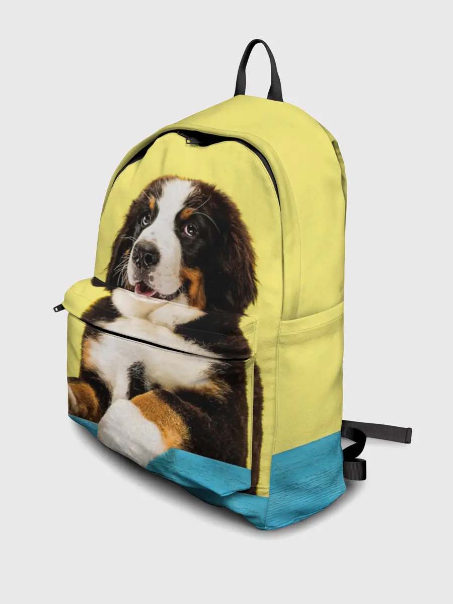 Рюкзак джинсовый / Бернский зенненхунд, Berner Sennenhund