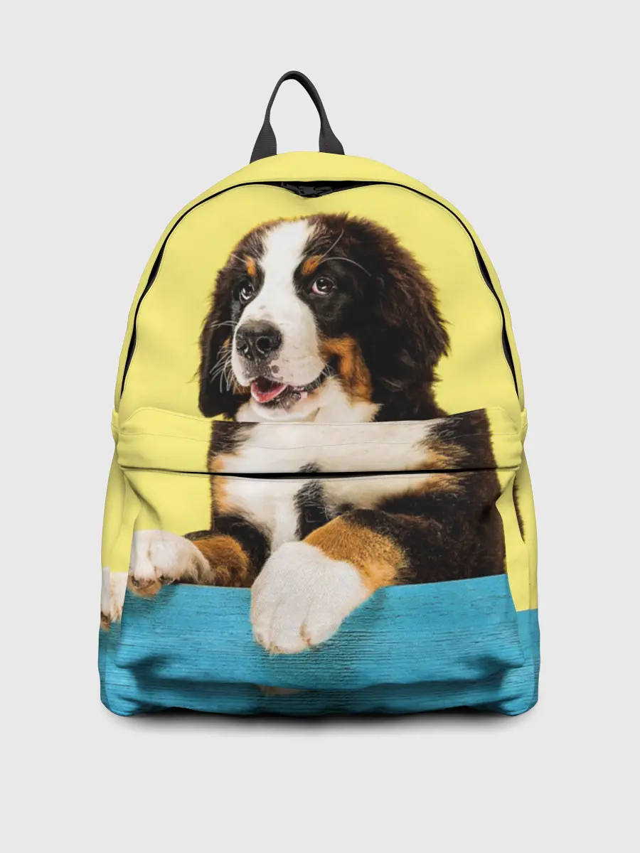 Рюкзак джинсовый / Бернский зенненхунд, Berner Sennenhund