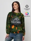 Женский свитшот / мир юрского периода