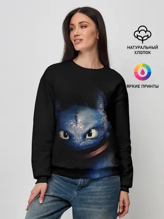 Женский свитшот / как приручить дракона