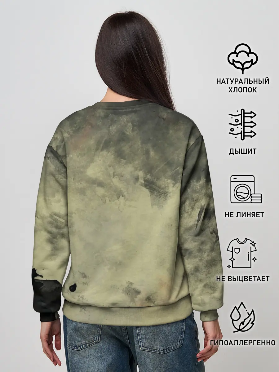 Женский свитшот / Blink-182