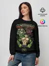 Женский свитшот / Battletoads