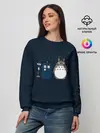 Женский свитшот / Тоторо и Тардис