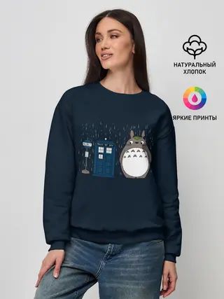Женский свитшот / Тоторо и Тардис