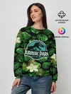 Женский свитшот / Мир юрского периода