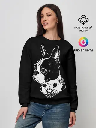 Женский свитшот / Французский Бульдог