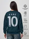 Женский свитшот / Kane alternative 18-19