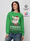 Женский свитшот / New Year Hipster Pig