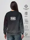 Женский свитшот / PUBG