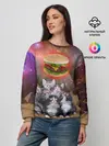 Женский свитшот / Египетские Коты