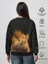 Женский свитшот / Белочка