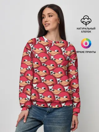 Женский свитшот / Наклз